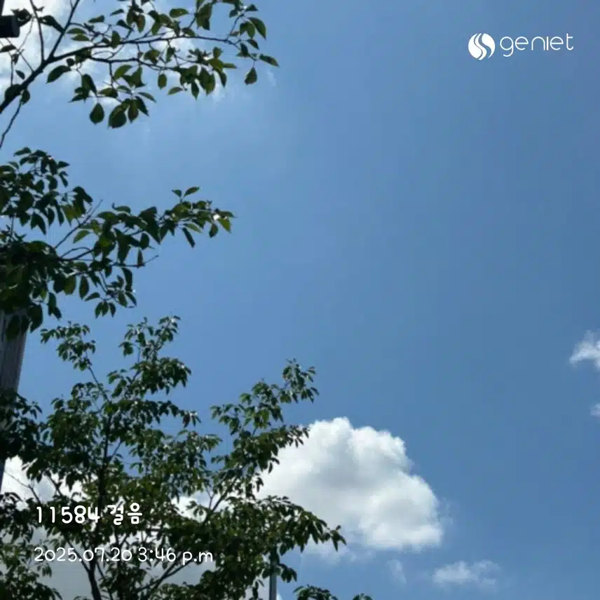 오후 산책🏃‍♀️