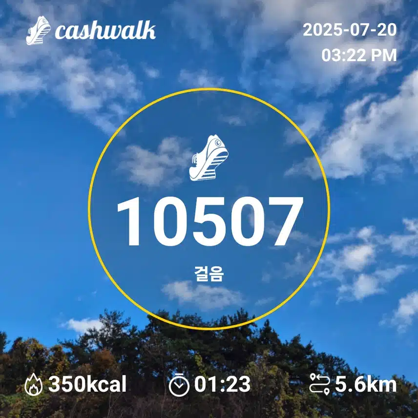 인증