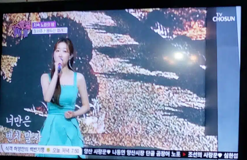 정서주양 의 용두산공원 엘레지 무대 너무 감동적이네요 