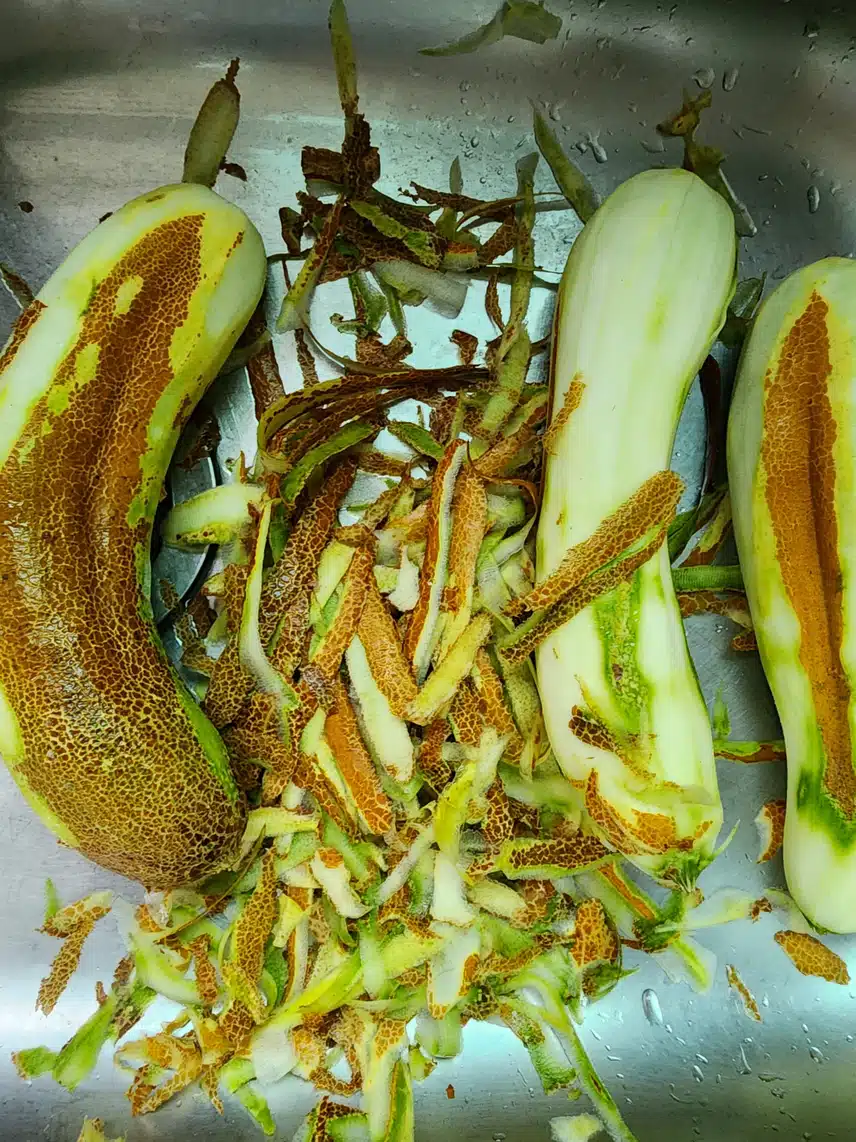 노각요리하며 늙음을 생각함