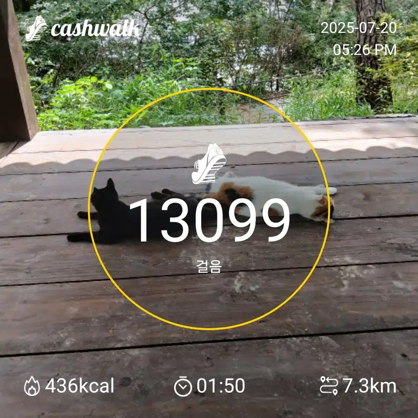 걷기 인증샷250일차