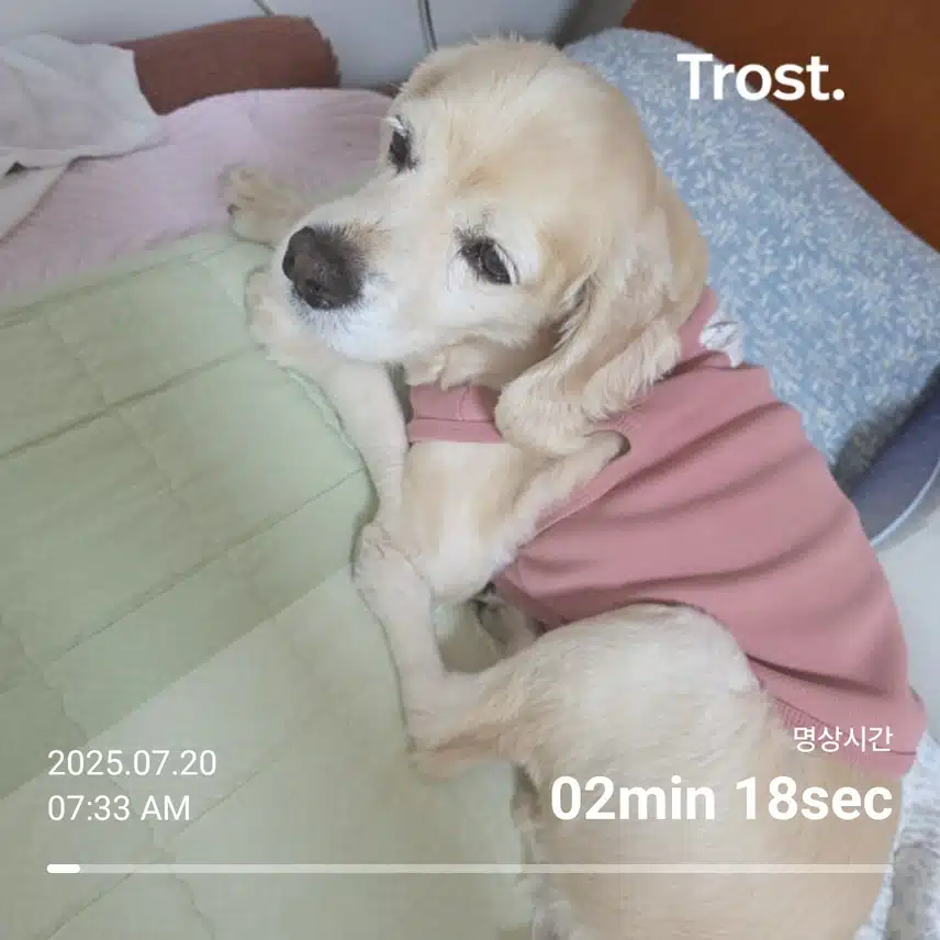 일요일 아침 