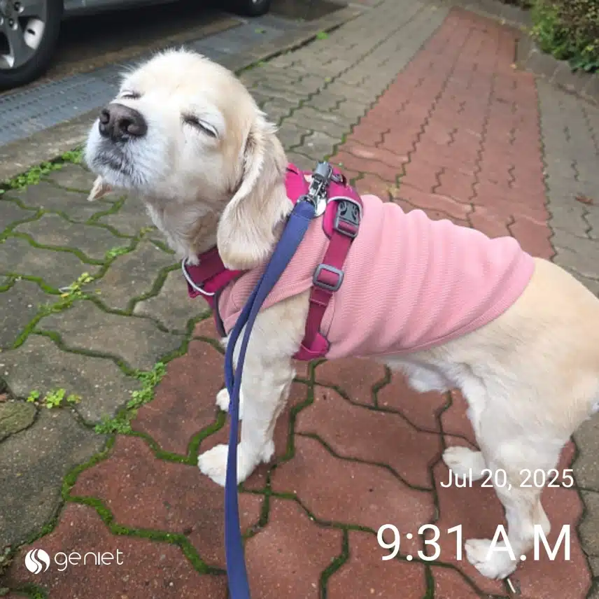 일요일 아침 