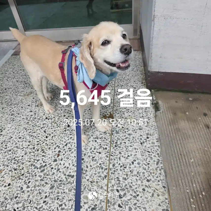 일요일 아침 