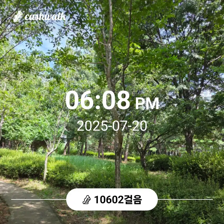 만보 걸었어요 