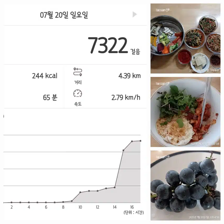산보 나갔다 왔어요~