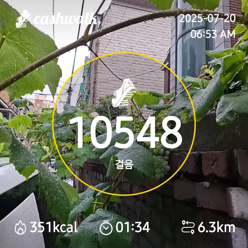 6000보 걷기