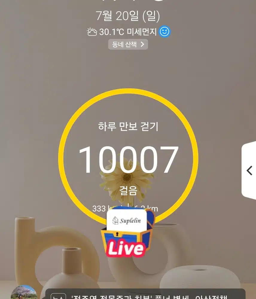 1만보 걷기 운동