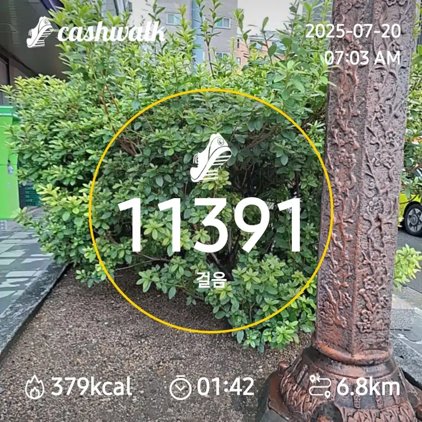 7000보 걷기