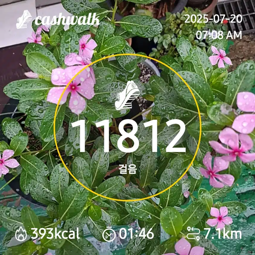 6000 걸음