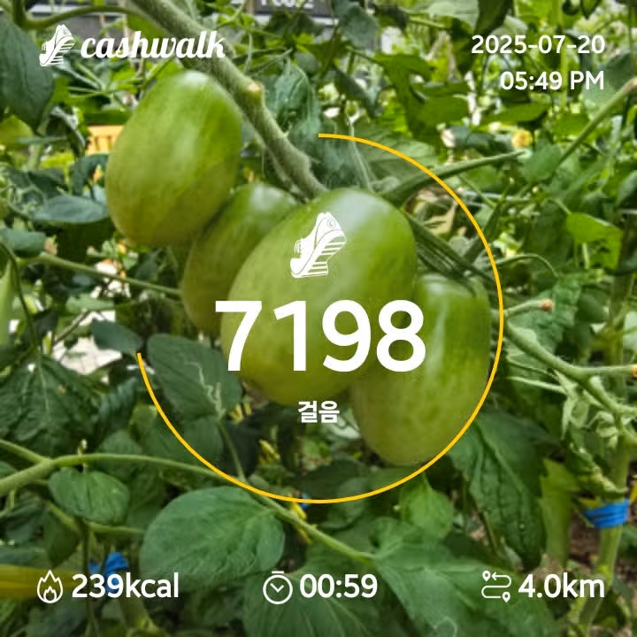 인증