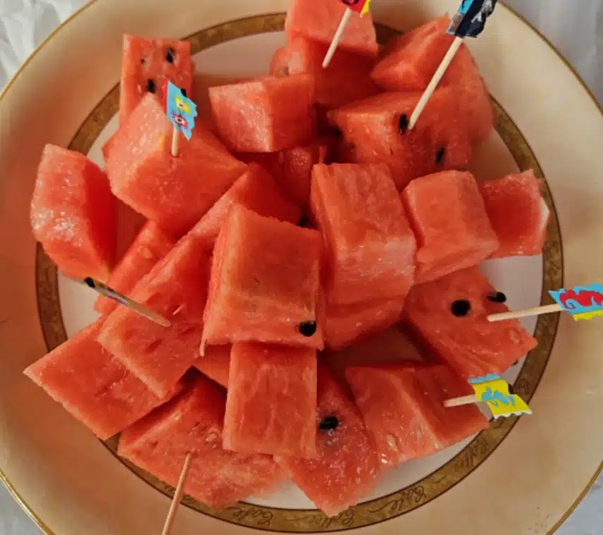 복날은 수박으로 🍉
