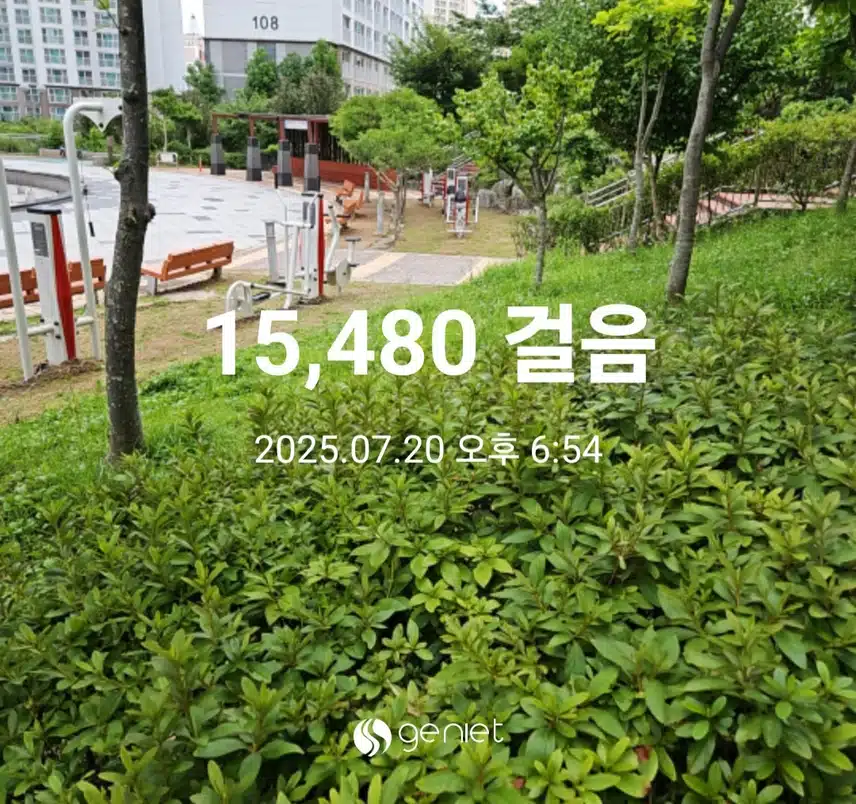 식후 걷기로 🏃