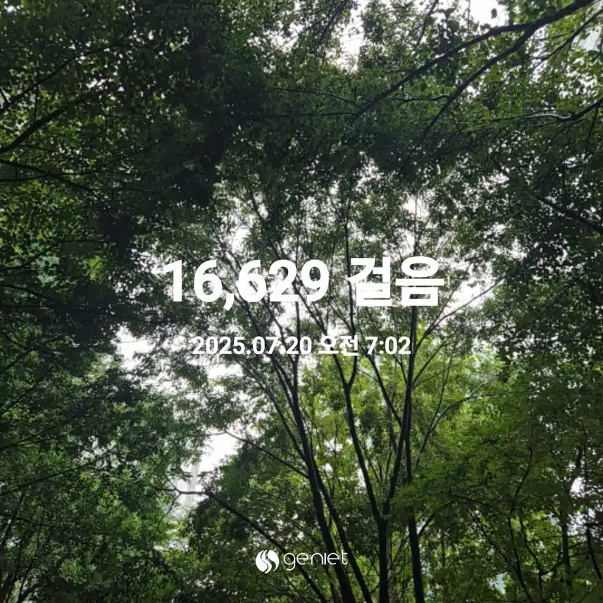 2025년 7월 20일 일요일 걷기 