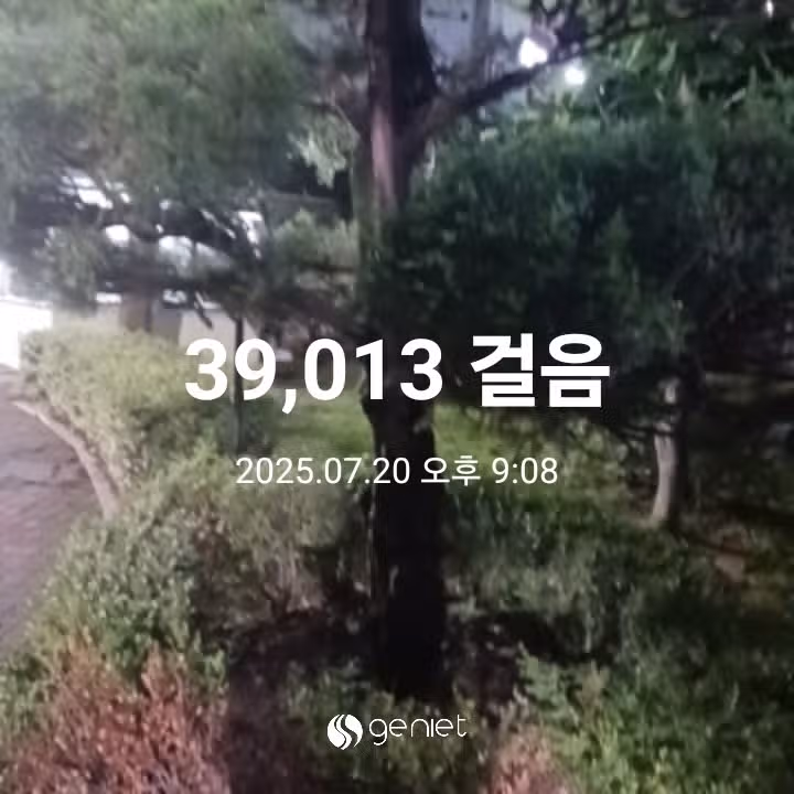 삼만보 걷기 