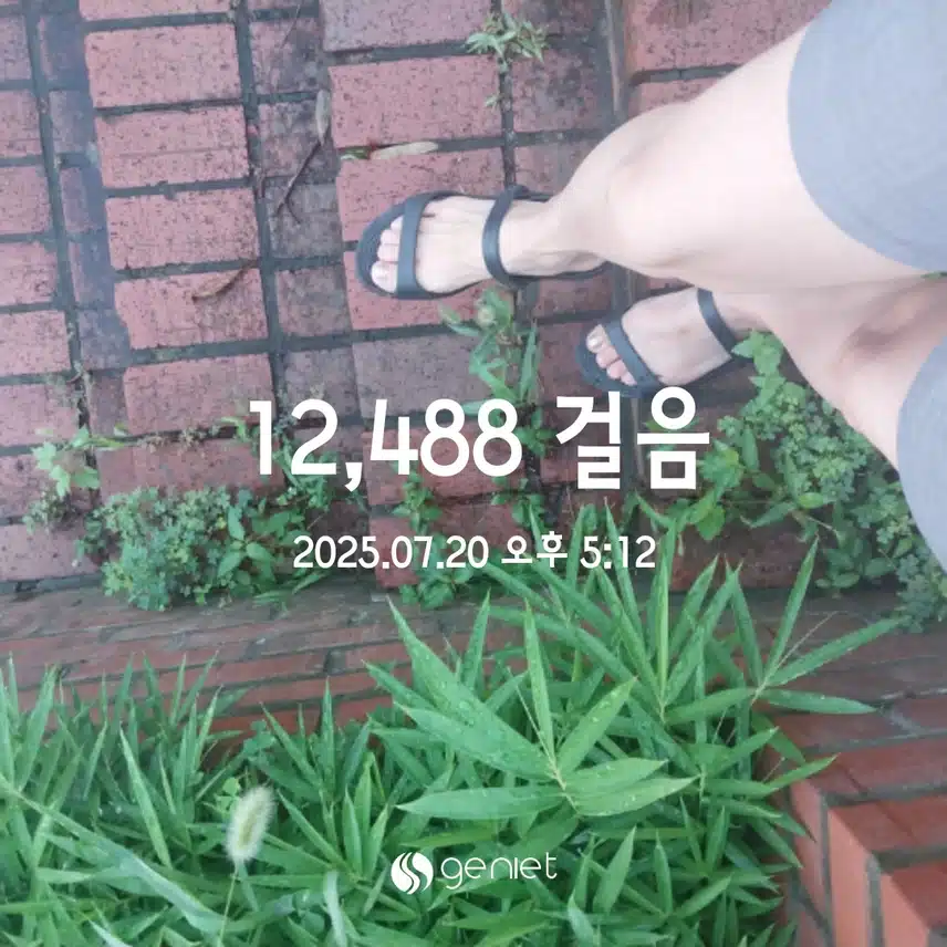 만보걷기 