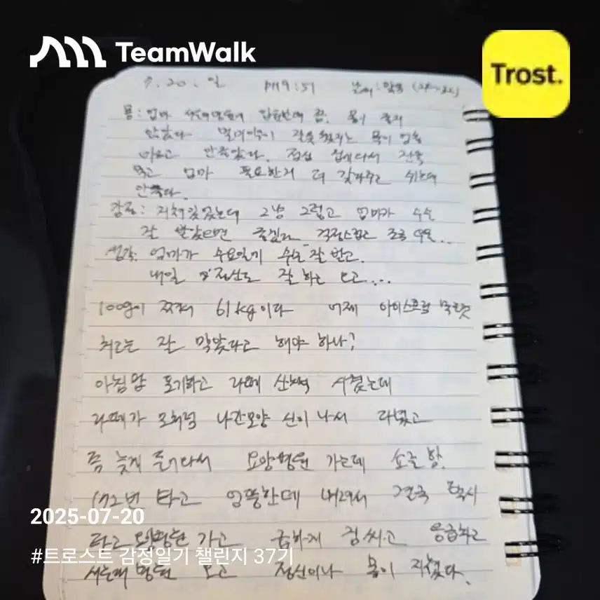 감정일기 37기 13일차 인증 