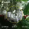 board-img