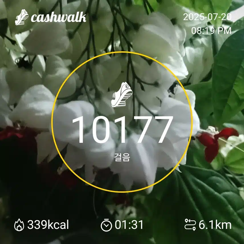 인증 