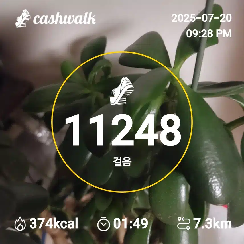 인증