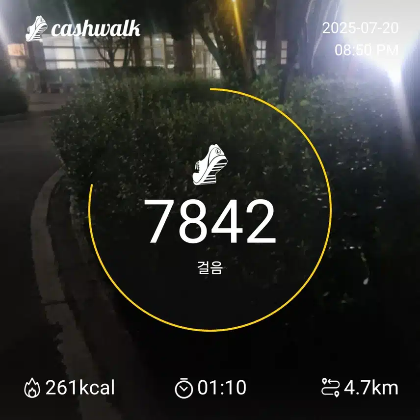 인증