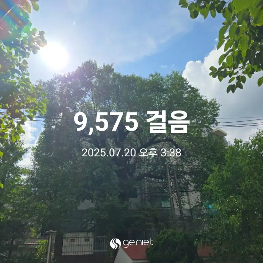 일요일 마무리 