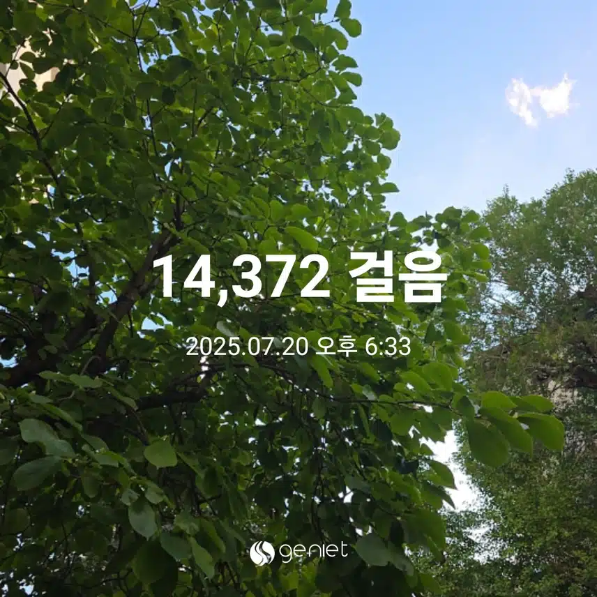 일요일 마무리 