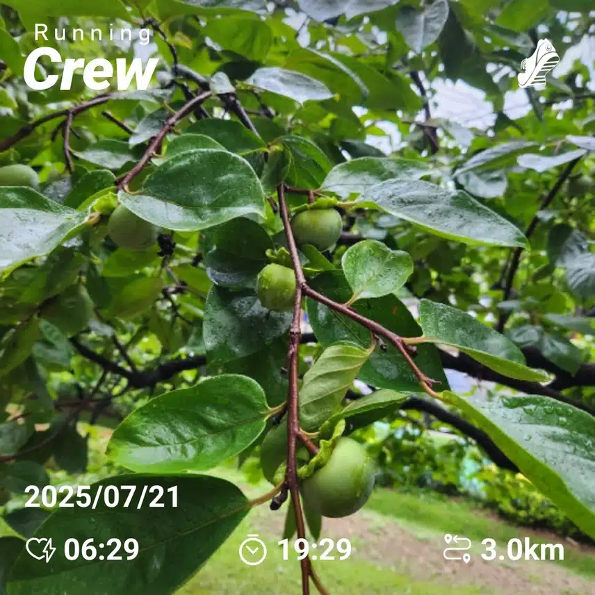 월요일 아침 러닝 3km 완주 