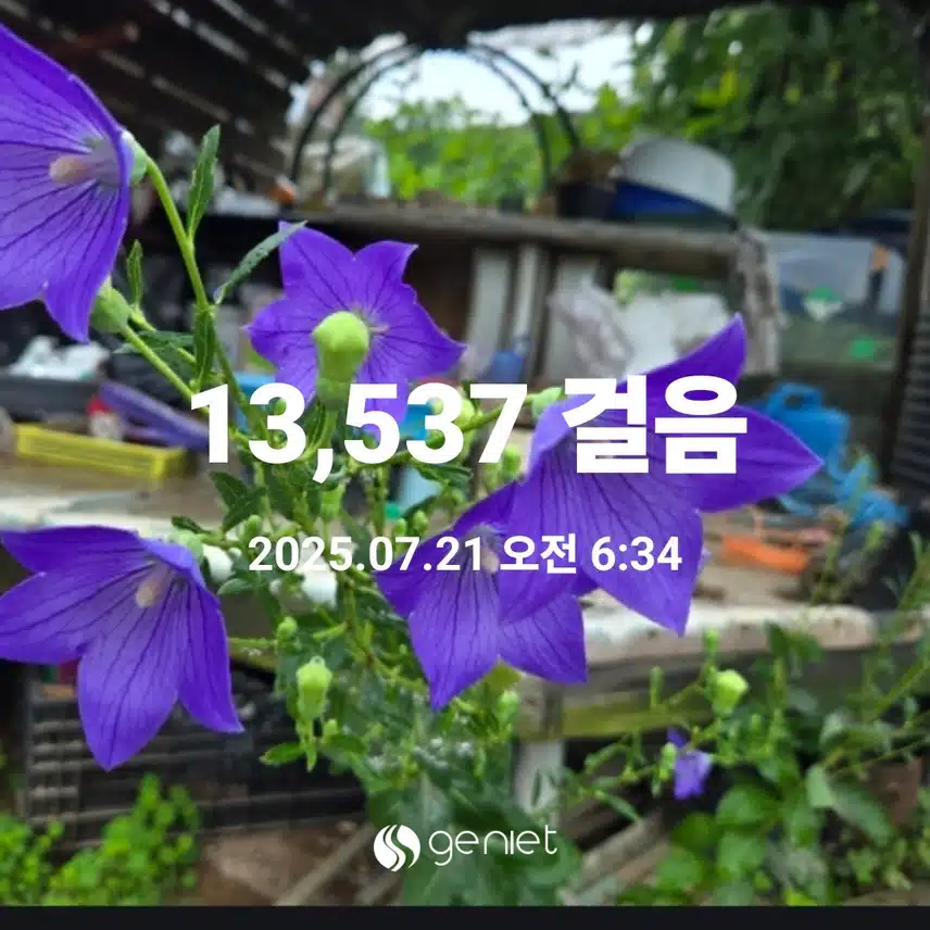  바람이 살랑이는. 새벽걷기운동