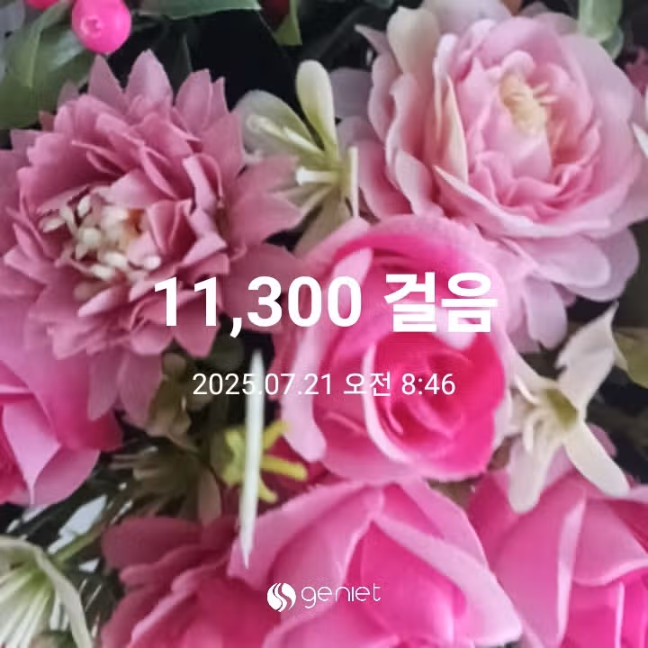 오전 운동 