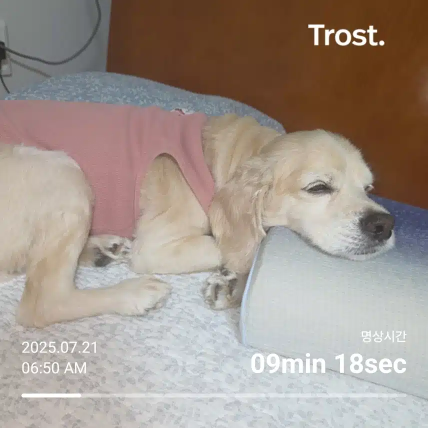 월요일 아침 