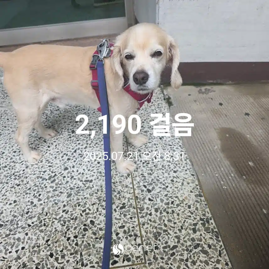 월요일 아침 