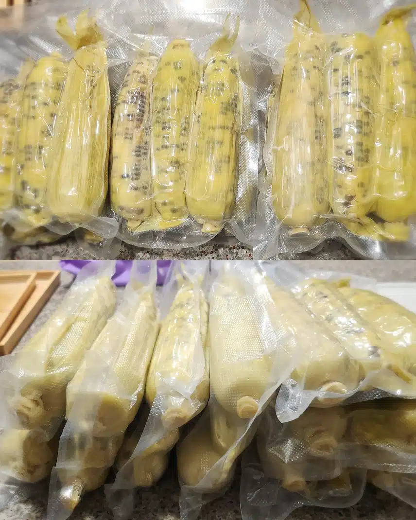 찰흑 옥수수 한포대 정리 🌽 