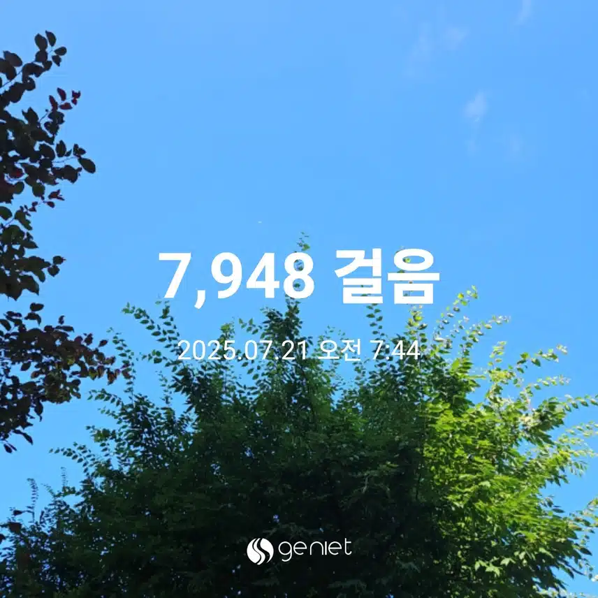 상쾌한 산책길 걷기 🏃