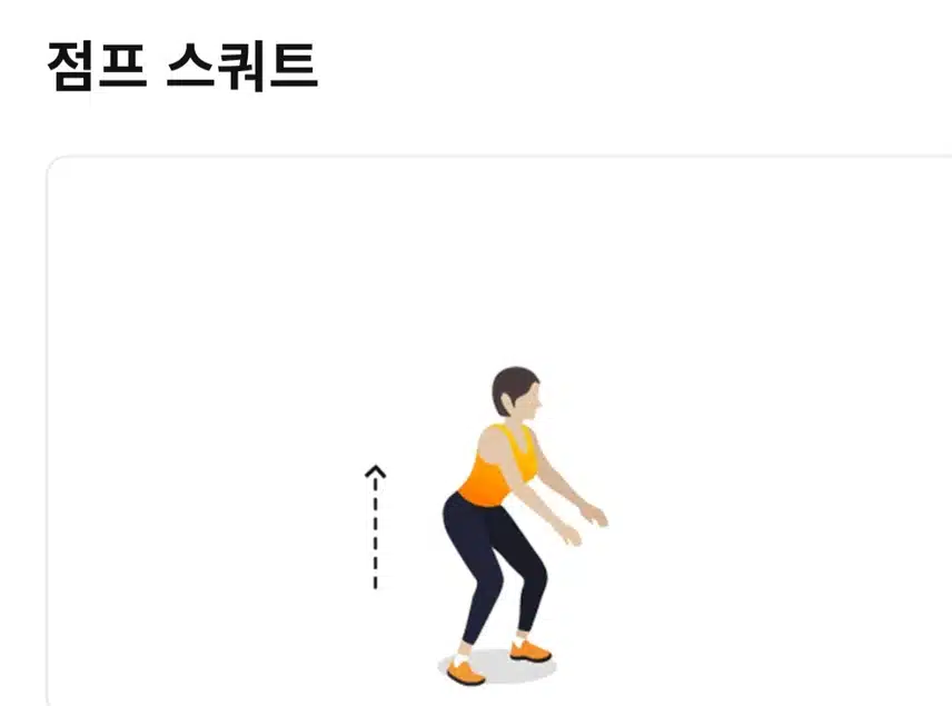 홈트로 근력운동 🏋
