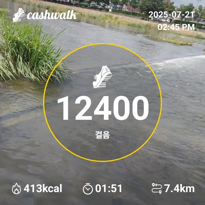 인증
