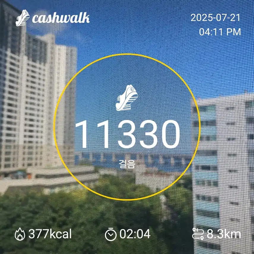 인증 