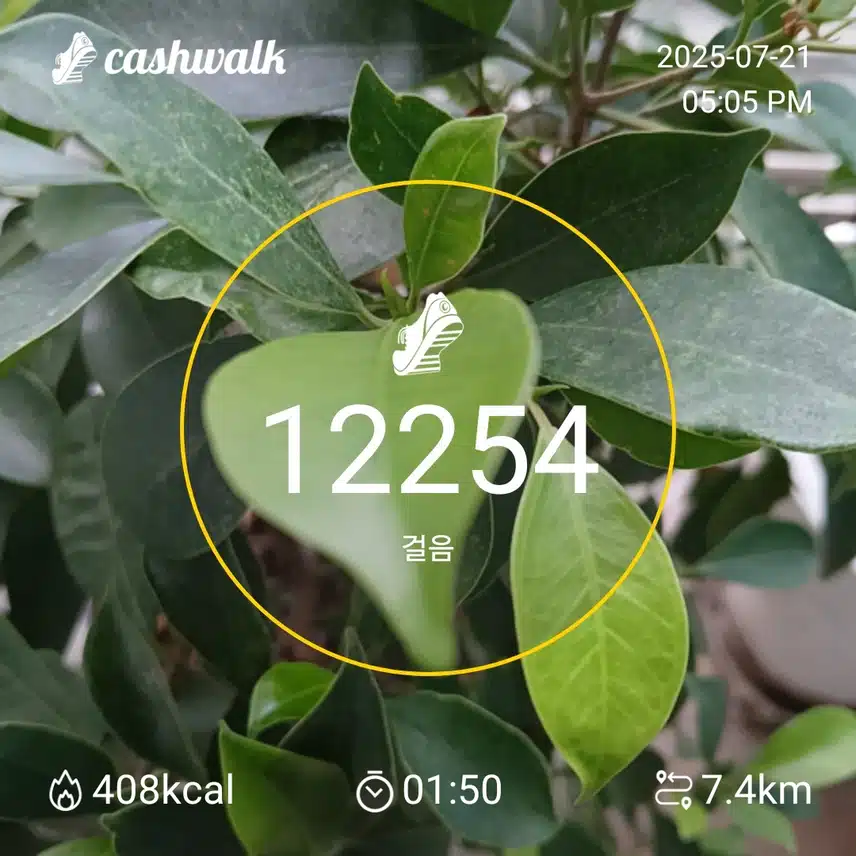 인증 