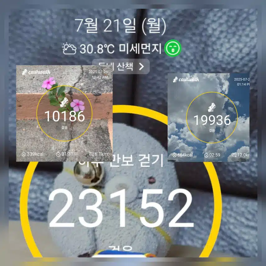 나와의약속 목표만큼 걷기운동 완료 ~🤪