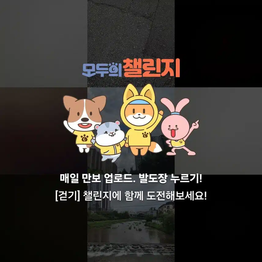 [모집]매일 만보걷기 가능한 분!!