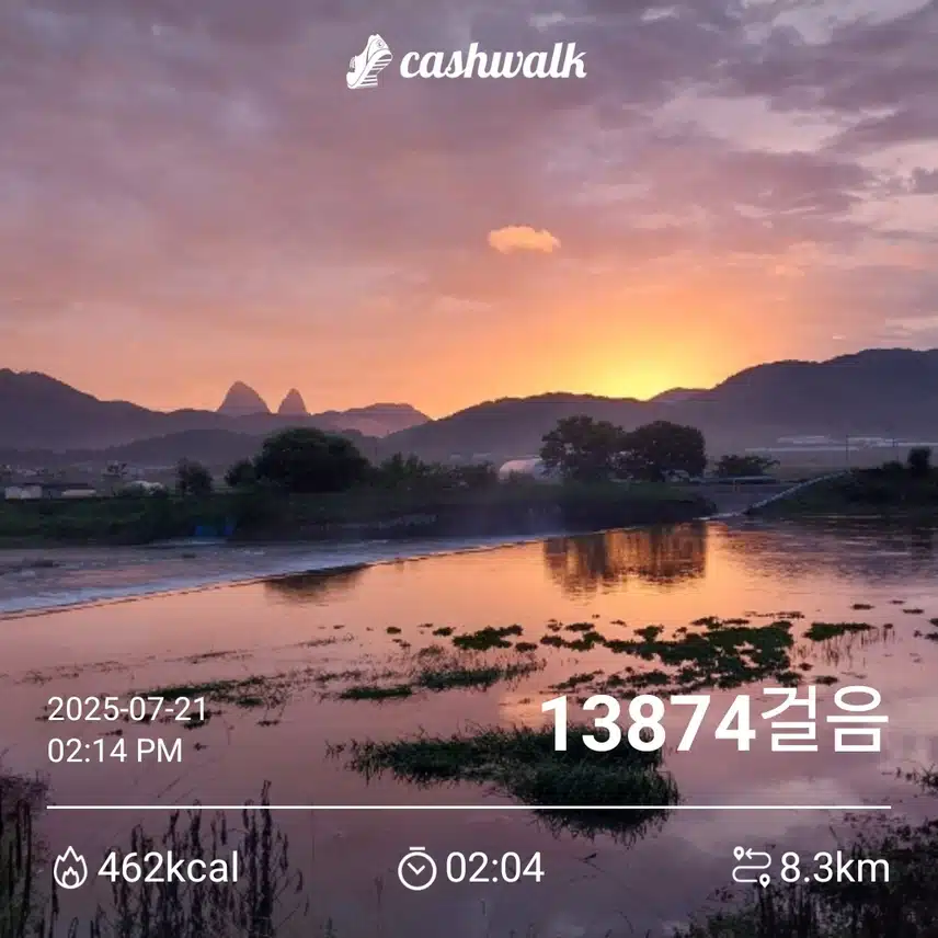 월요일 만보걷기 ~^^