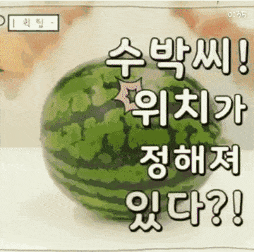 수박씨 쉽게 발라내는 꿀팁