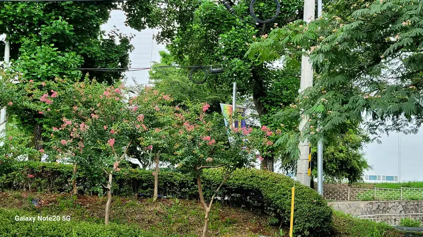 오랜만에 엄마랑 함께 두바퀴~~~