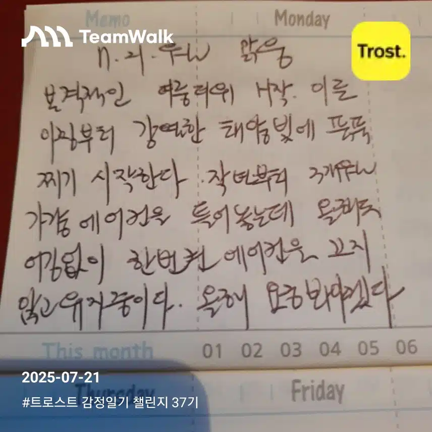 14일차인증 