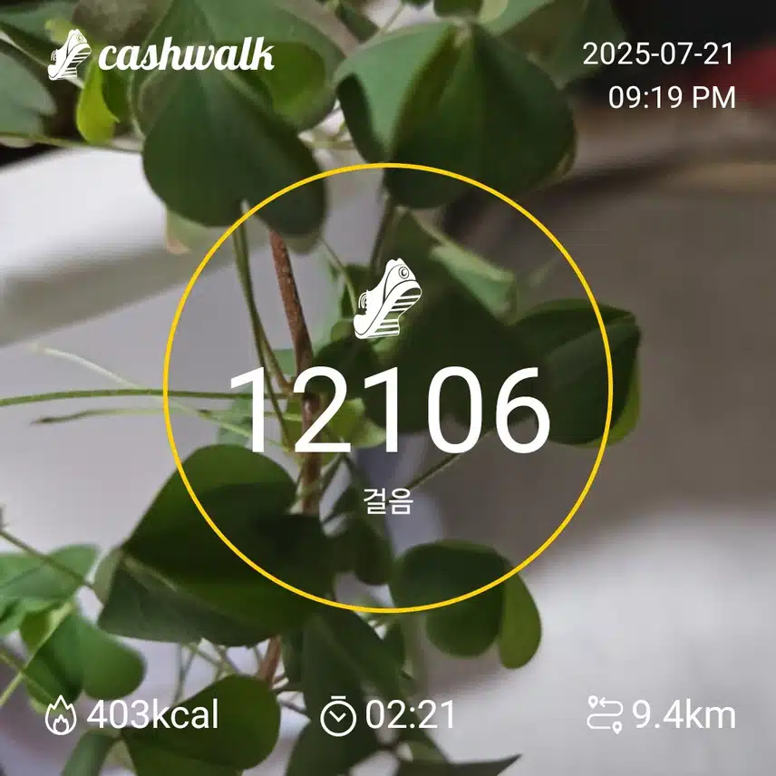 인증