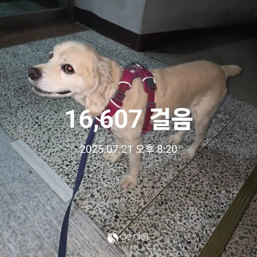 월요일 마무리 
