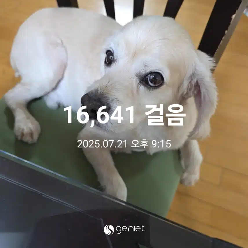 월요일 마무리 