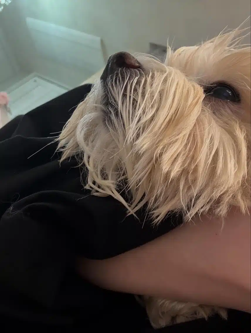 È un cuore❣️Aggiornamento invernale di Instagram