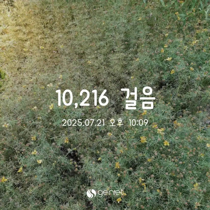 만보완료