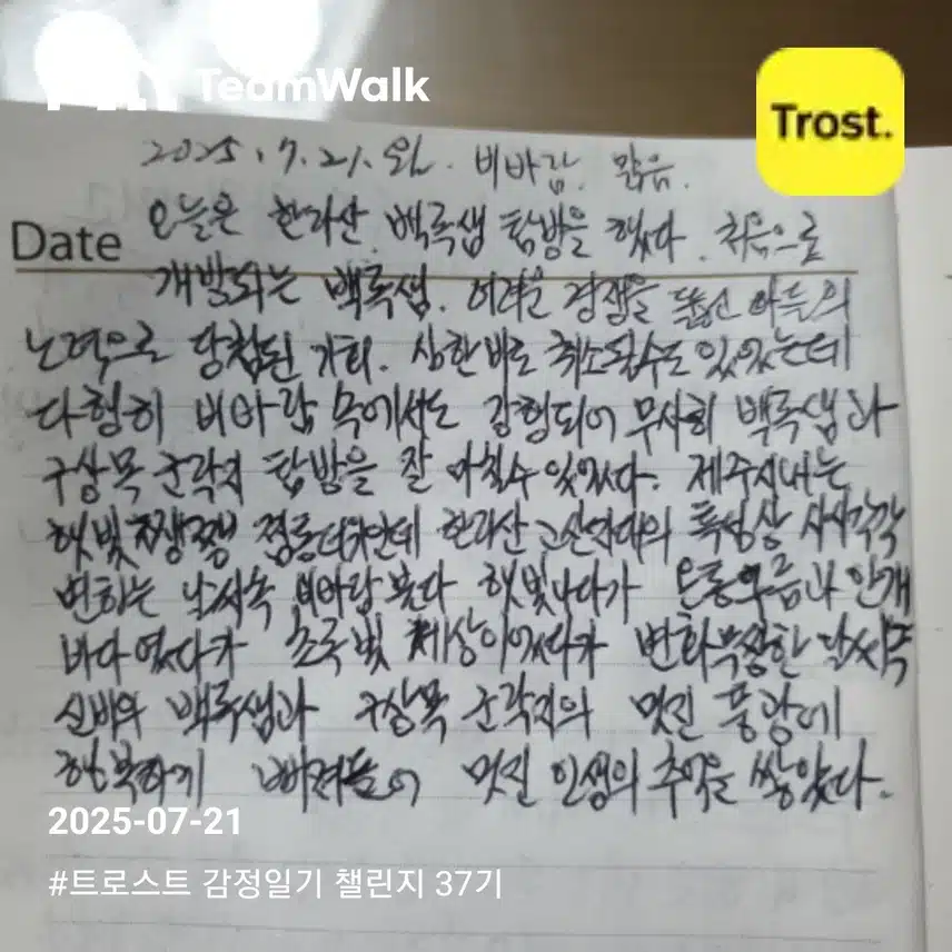 감정일기 14일차